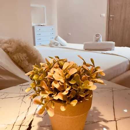 Appartement Merkuri *